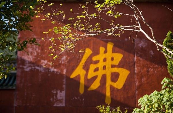 戒杀放生，善念相感