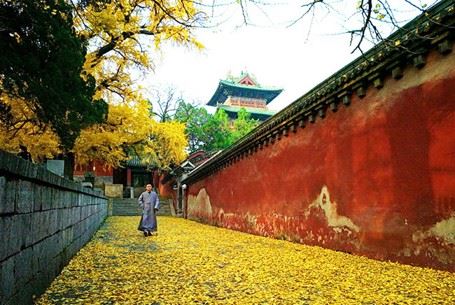 了达因缘　方知感恩