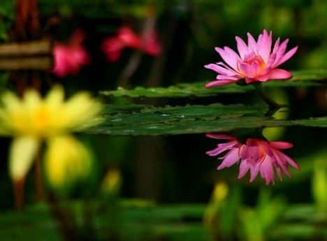 佛法无边真实不虚