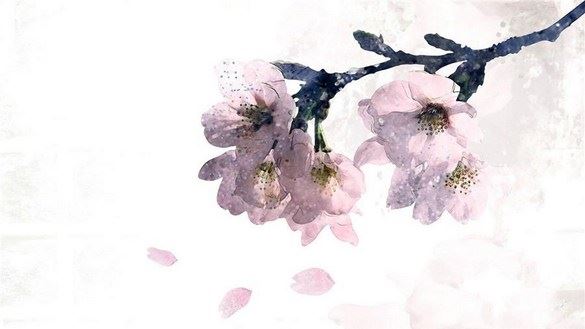 佛家中所说的婆娑世界是什么意思