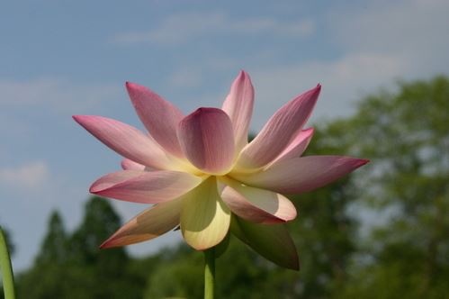 自己修学真有成就，度化冤亲债主的能量就很大