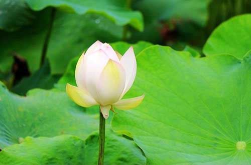 喝酒毁一生，青少年酗酒的危害