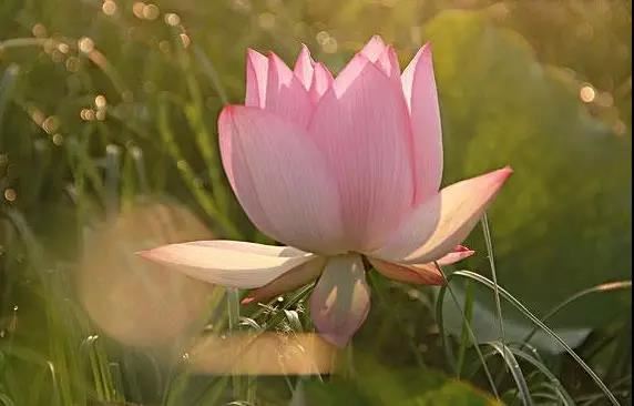 修道人，不可以没事去找事做