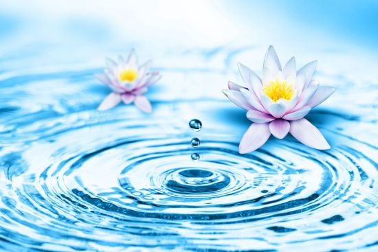 佛教的上香礼仪及含义是什么？