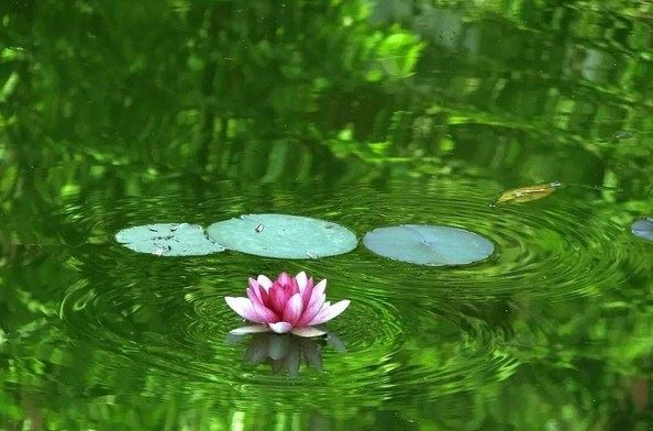 猥亵他人妻女果报何时来到？