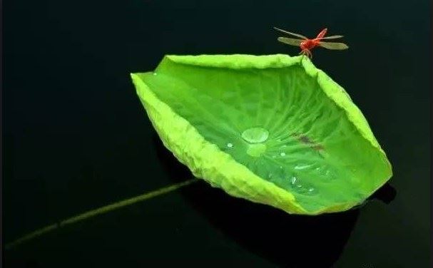 行布施得富贵幸福