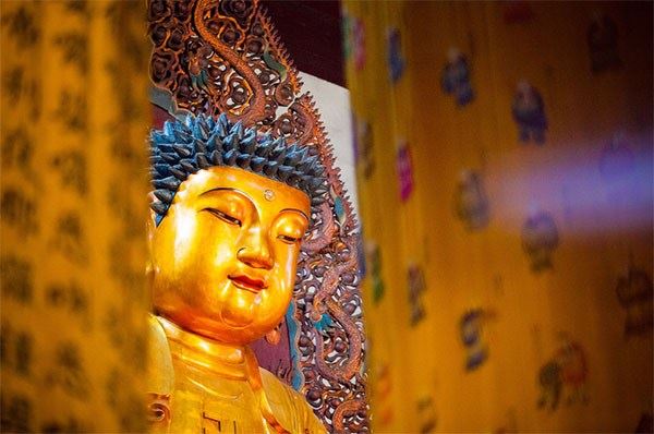 在家学佛和出家学佛究竟有何不同？