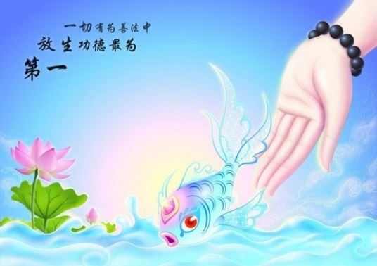 天堂净土是在禅者的心中，不在心外