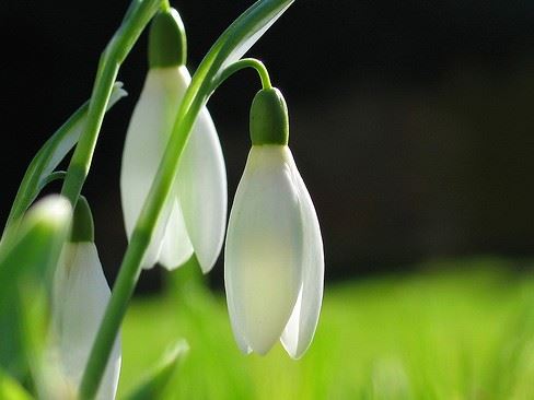 佛堂常用法器介绍