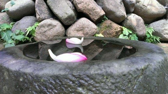 《大悲咒》共84句，最全清晰注音版你确定要错过吗