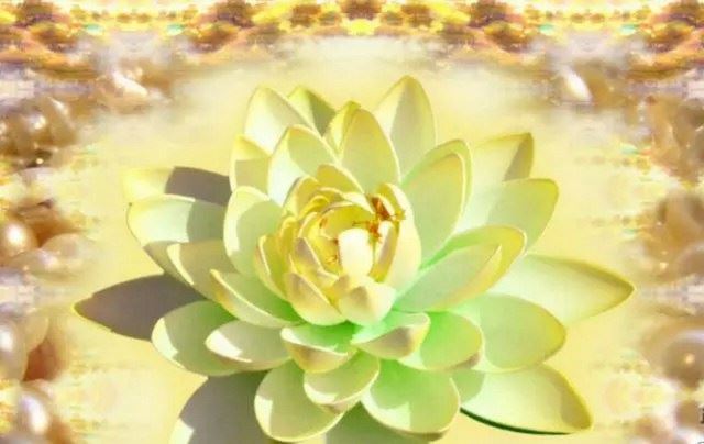 从孩子时期就应该培养慈悲心