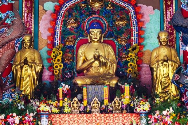 净土法门：我们的烦恼在哪里？