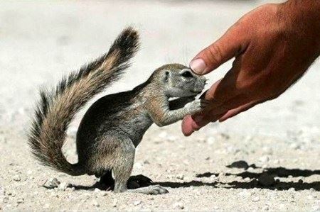 睡觉的时候做梦算不算造业？