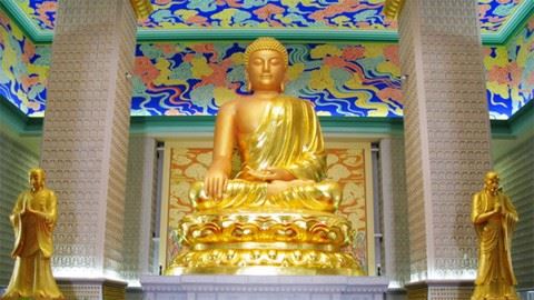 人生如同一棵树