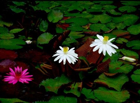 出轨的人应该被原谅吗？