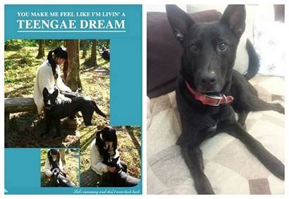 修禅打坐-七支做法的要领