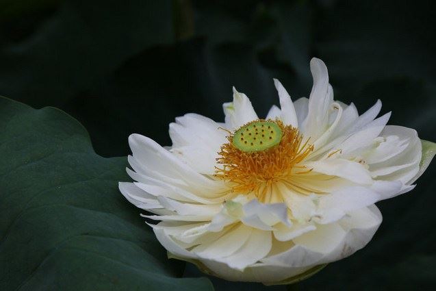 如何印证是否真正往生？