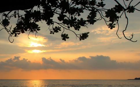 梦参长老开示：业障可以转移吗？