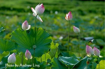 吃饭挑食严重，可能下地狱