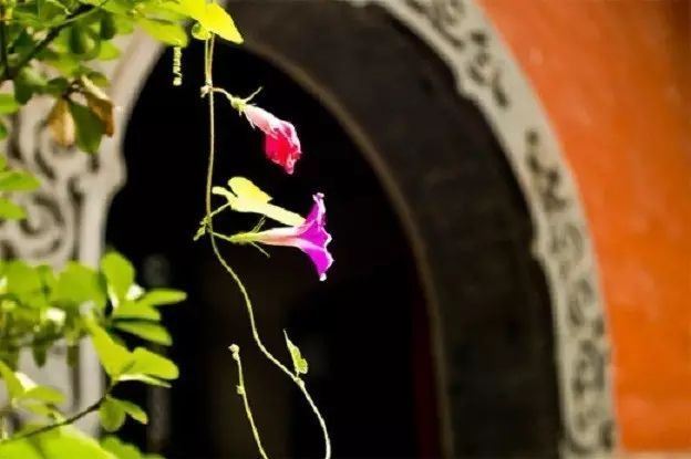 放生问答之基础知识篇