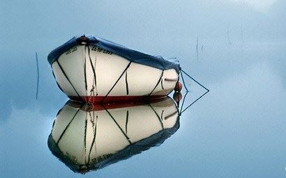 慢一点，等到心灵盛开