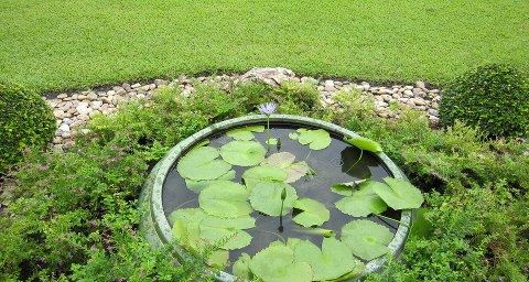 这是念佛人的秘诀，也是阿弥陀佛的秘诀