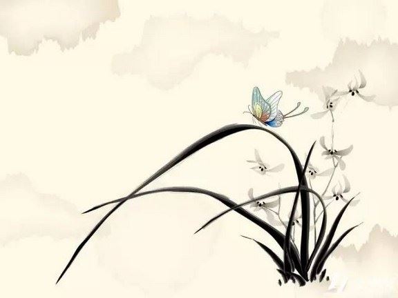 生命中的许多东西是可遇不可求