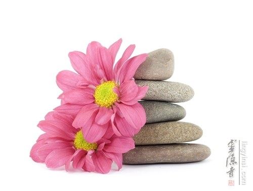 如何正确如法的看待法师的缺点？