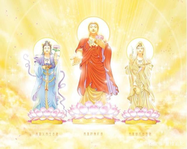 为何这个人说自己念准提咒355万遍还这么痛苦