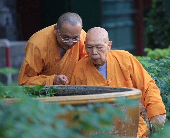 “人身难得”究竟难到什么程度？