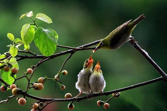 被误解的的佛教禁忌都有哪些？