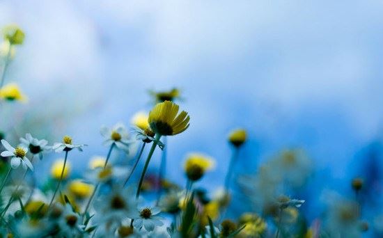 星云大师:“熏习”的力量