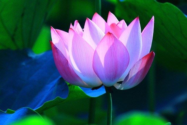 行善救人不淫免除火灾之难