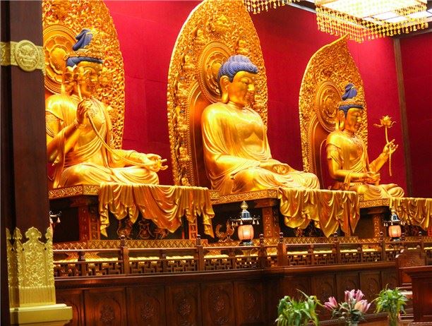 学佛临终能否捐赠器官？需要具备什么条件？