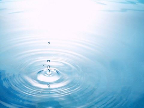 世代放生，子孙高官显贵