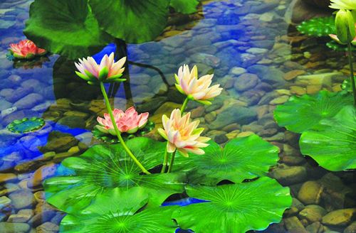 多宝如来和释迦牟尼的故事