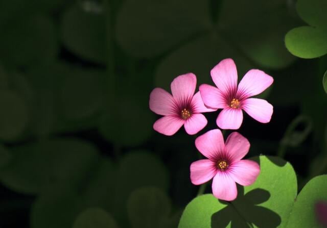 原来你的精气神都从这五个地方漏掉了