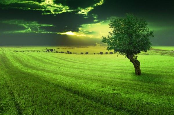 佛教中皈依是什么意思？皈依和加持有何不同？