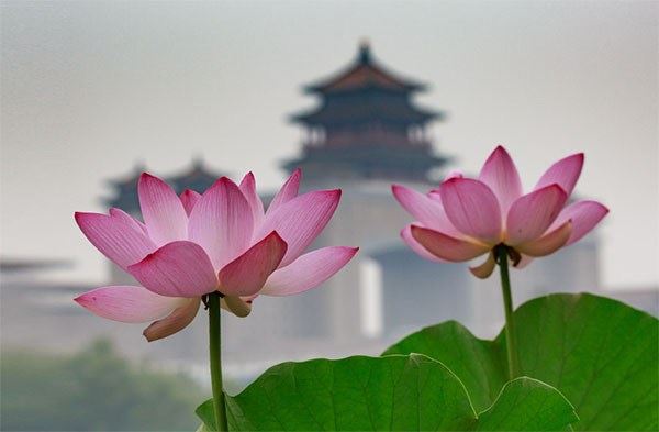 历代名人与香山寺