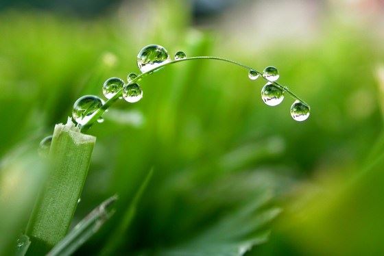 很多朋友都是从此绝交的，故事很短，却说穿了人