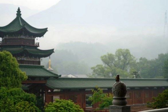 印光大师开示：佛教中放生的十大功德利益