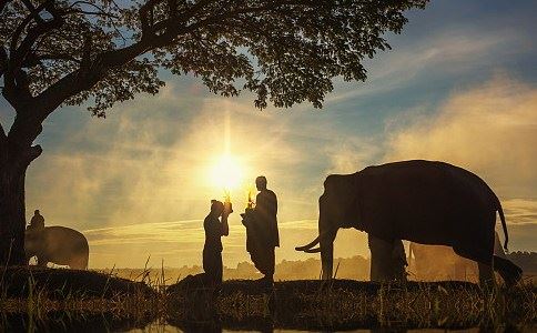 皈依和出家的意义有何不同？