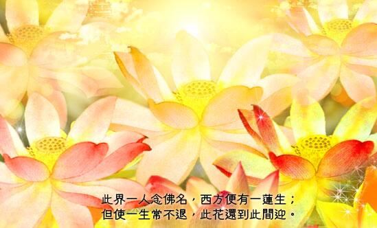 劝人吃素增福报