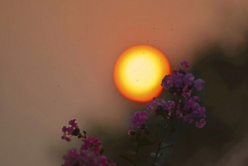 佛经能摊在腿上看吗？不知道这个要吃大亏