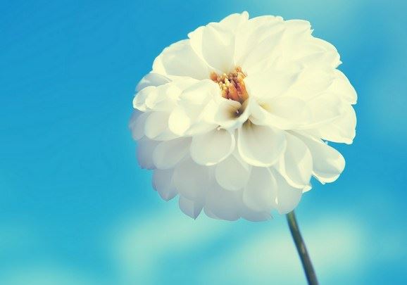 当前居士们的几类严重毛病，来看看你是不是也有