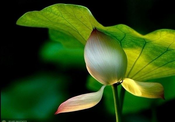 以出世思想做世间事