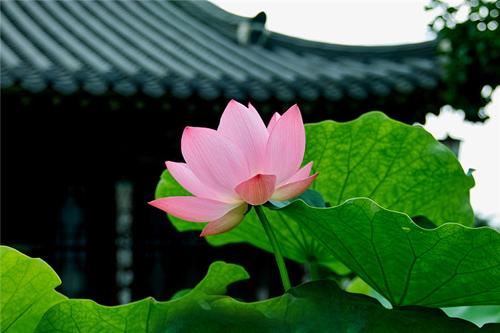 生命要时刻保持希望