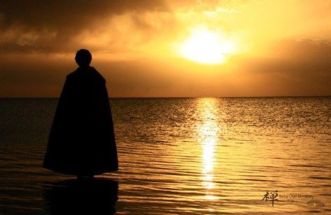 念佛消罪与因果不空矛盾吗？