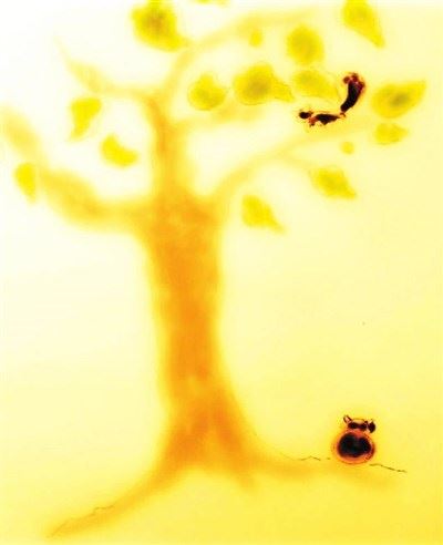 有关世间情爱的经文汇集