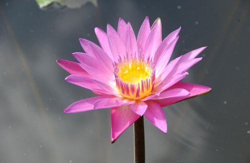 因为你有控制、占有的念头，所以你什么都不通